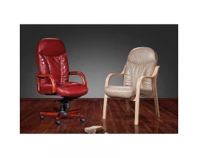 Стул офисный Ренуар SE-010 images